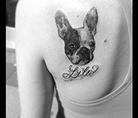 tatuaje en blanco y negro en la espalda: cabeza de perro